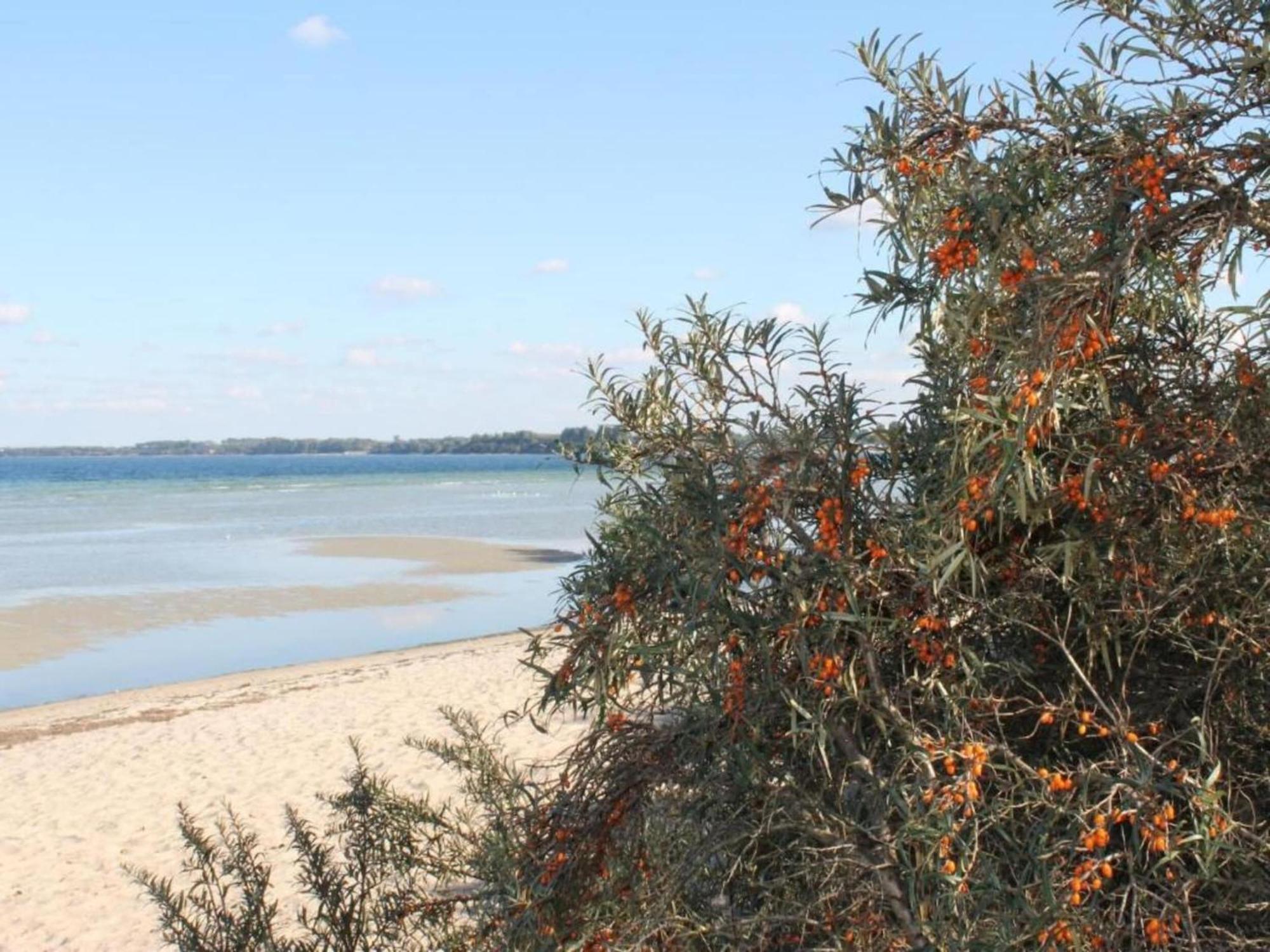 Lovely Bungalow Near Sea In Elmenhorst Kalkhorst Luaran gambar