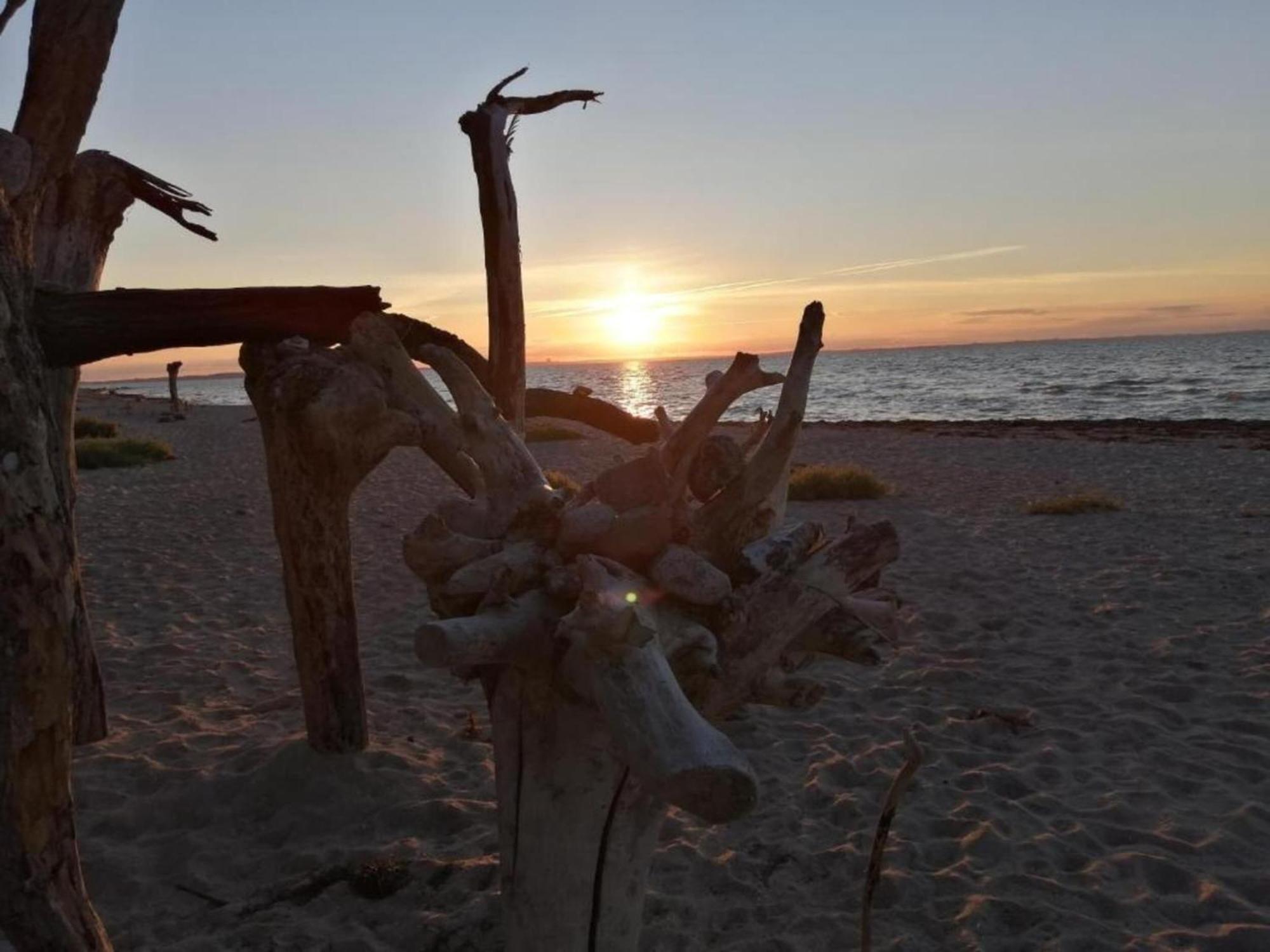 Lovely Bungalow Near Sea In Elmenhorst Kalkhorst Luaran gambar