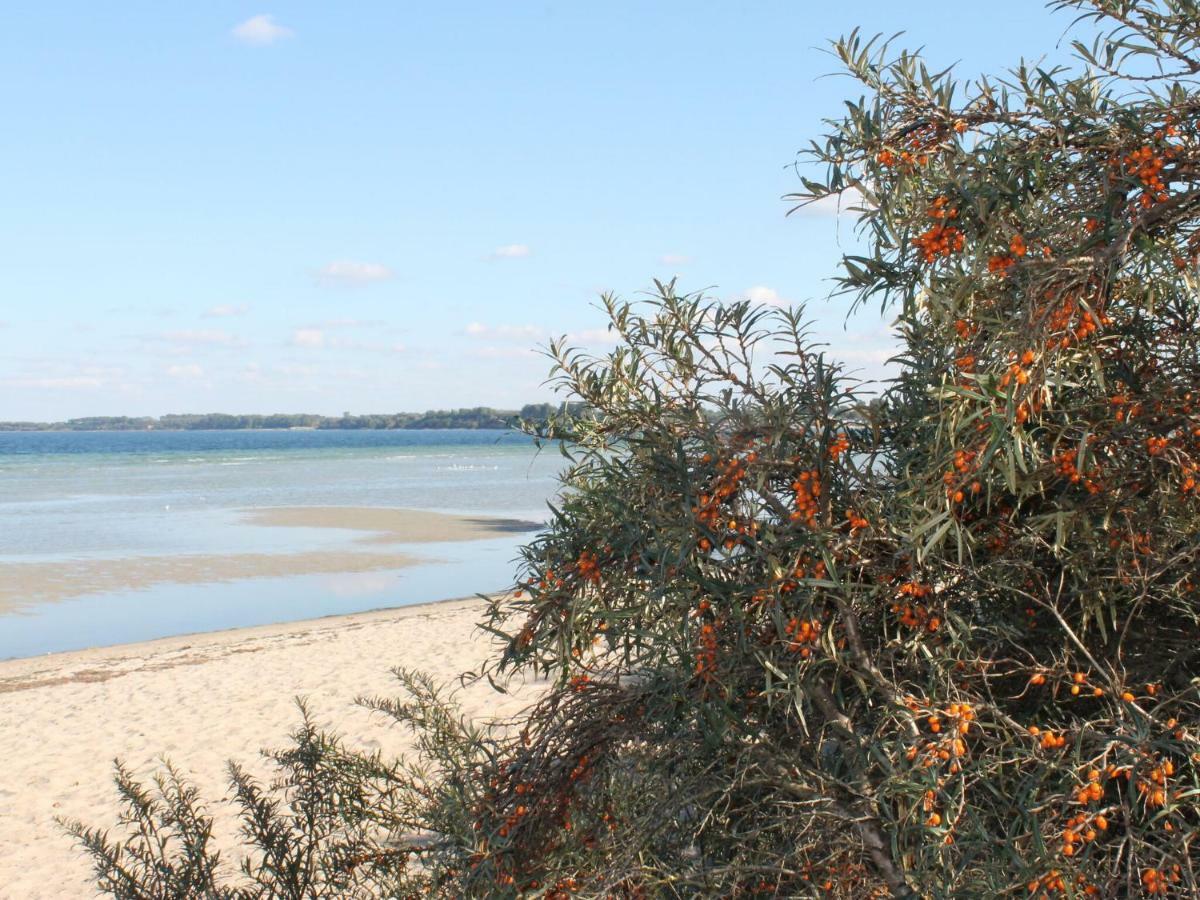 Lovely Bungalow Near Sea In Elmenhorst Kalkhorst Luaran gambar